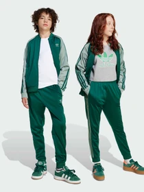 Брюки Adidas Adicolor модель JD1616 Фото