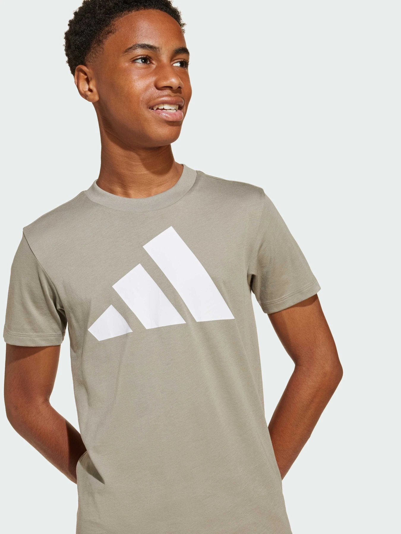 Футболки и поло Adidas модель JE1387 Фото