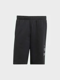 Шорты Adidas Adicolor модель JP2684 Фото