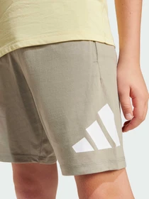 Шорты Adidas модель JD2089 Фото