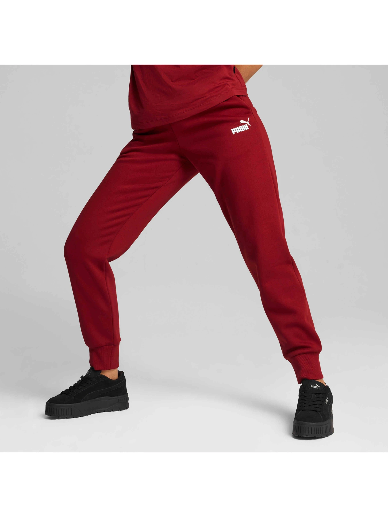 Штани PUMA Ess Sweatpants модель 586841 Штани PUMA Ess Sweatpants модель 586841 Фото