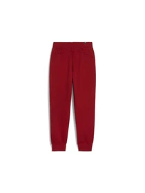 Штани PUMA Ess Sweatpants модель 586841 Фото