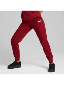 Штани PUMA Ess Sweatpants модель 586841 Фото