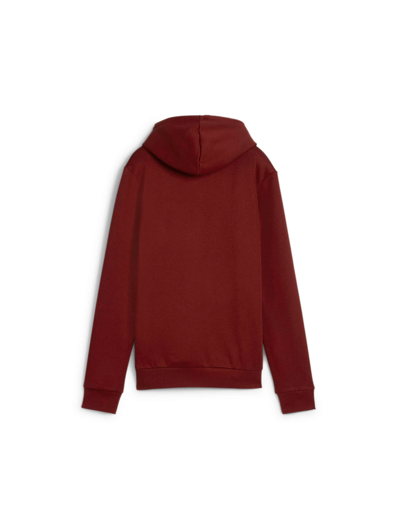 Худі та світшоти PUMA Ess Logo Hoodie Fl модель 586789 Фото