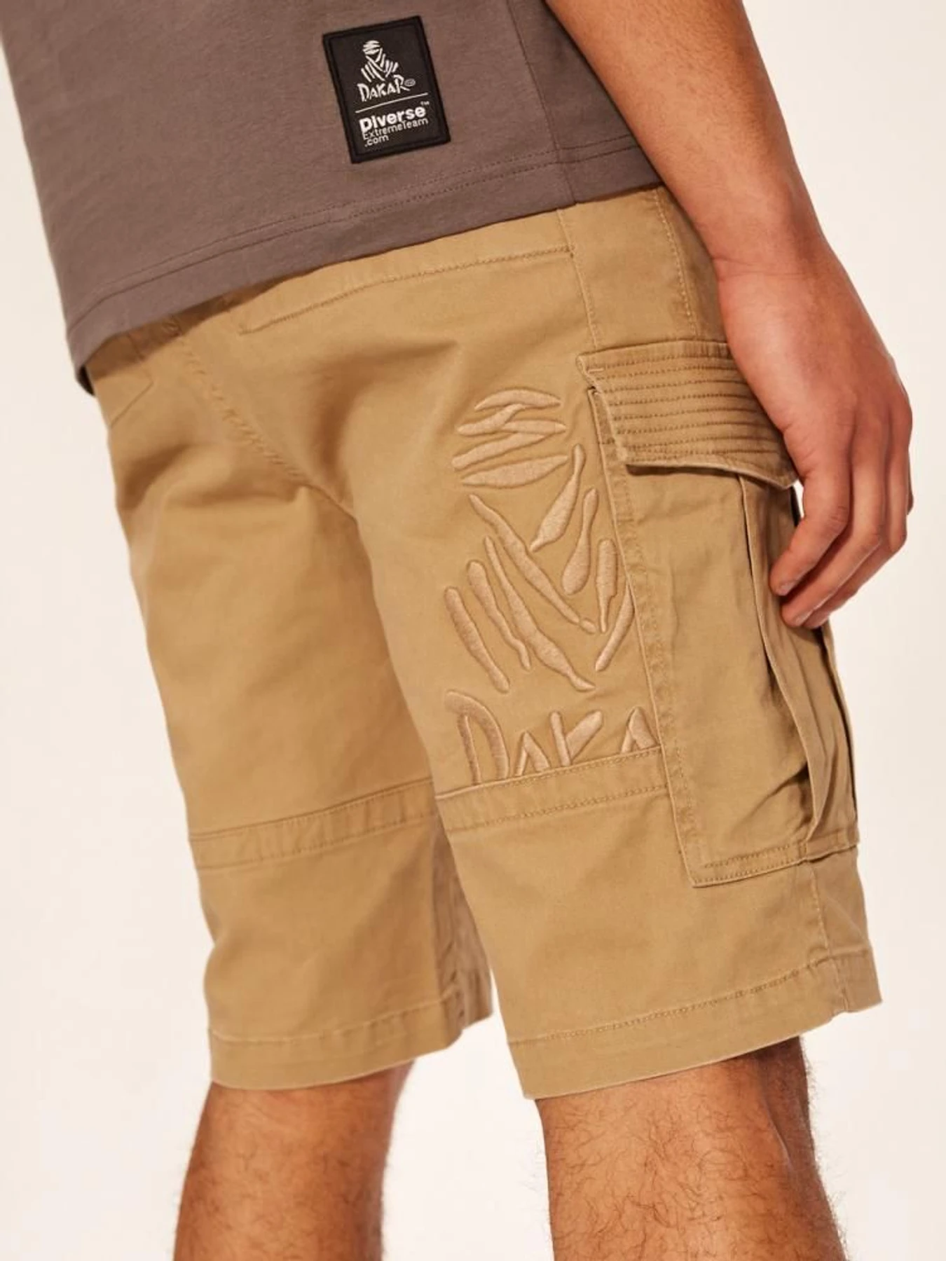 Шорты DIVERSE Dkr Cargos модель 10039189 Шорты DIVERSE Dkr Cargos модель 10039189 Фото