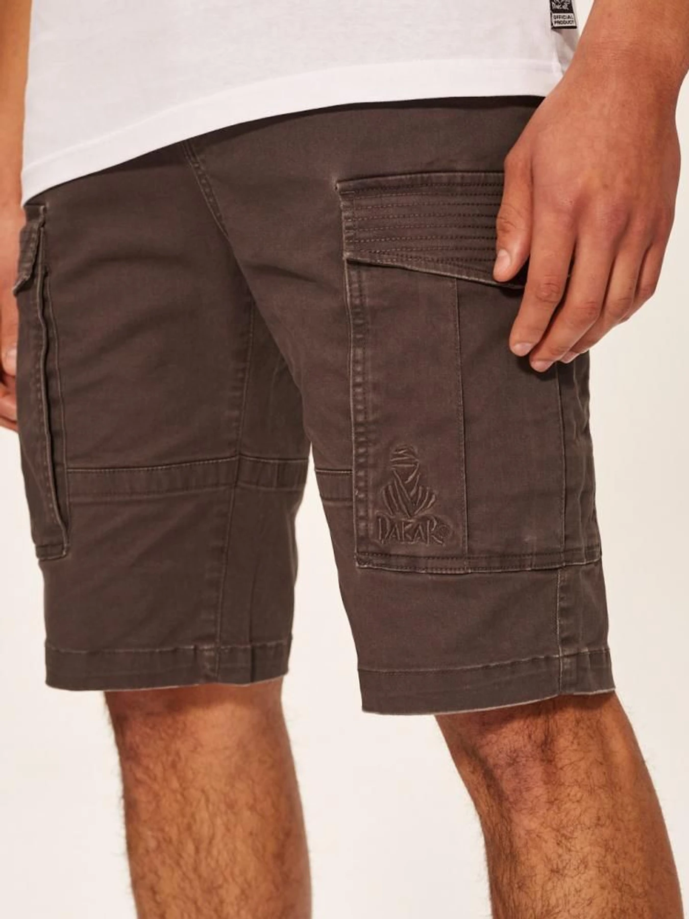 Шорти DIVERSE Dkr Cargos модель 10039189 Шорти DIVERSE Dkr Cargos модель 10039189 Фото