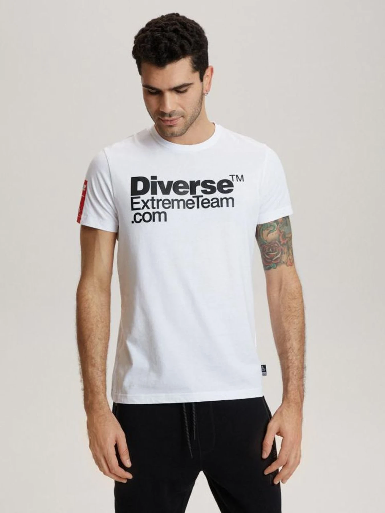 Футболки и поло DIVERSE Dkr Logo 2 модель 10040706 Футболки и поло DIVERSE Dkr Logo 2 модель 10040706 Фото