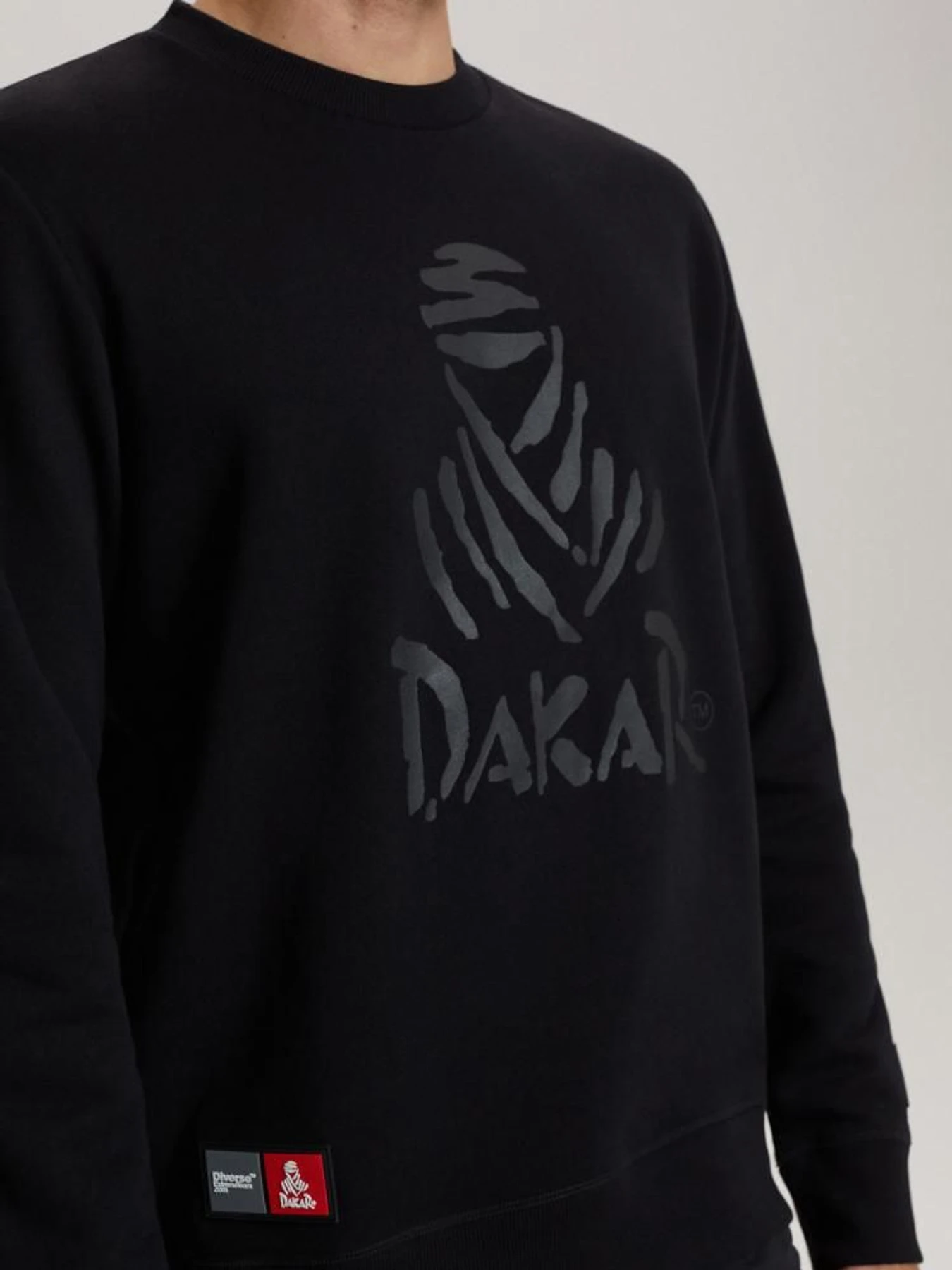 Худи и свитшоты DIVERSE Dkr Crew 04 модель 10040734 Худи и свитшоты DIVERSE Dkr Crew 04 модель 10040734 Фото