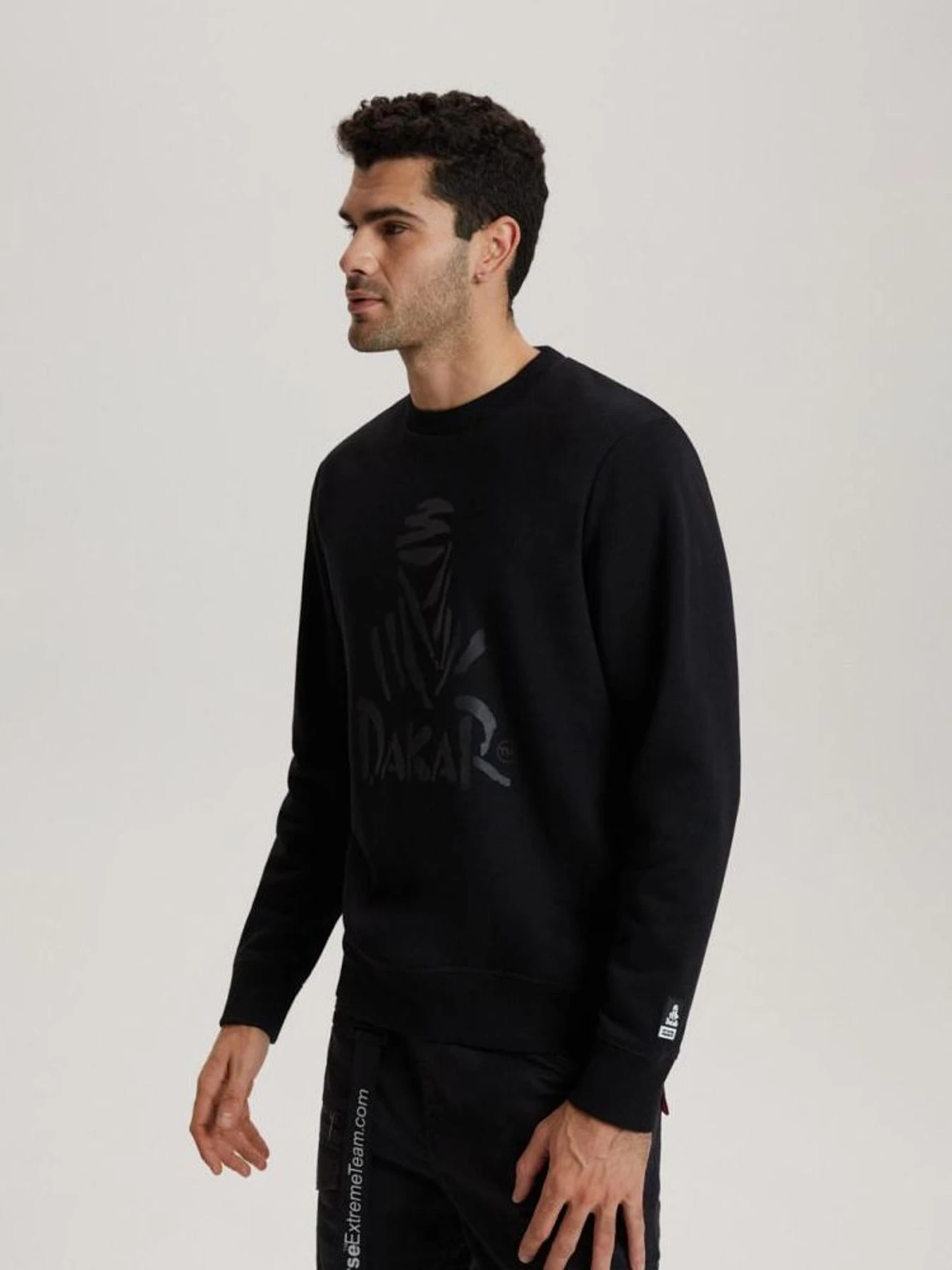 Худи и свитшоты DIVERSE Dkr Crew 04 модель 10040734 Худи и свитшоты DIVERSE Dkr Crew 04 модель 10040734 Фото