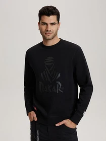 Худи и свитшоты DIVERSE Dkr Crew 04 модель 10040734 Фото