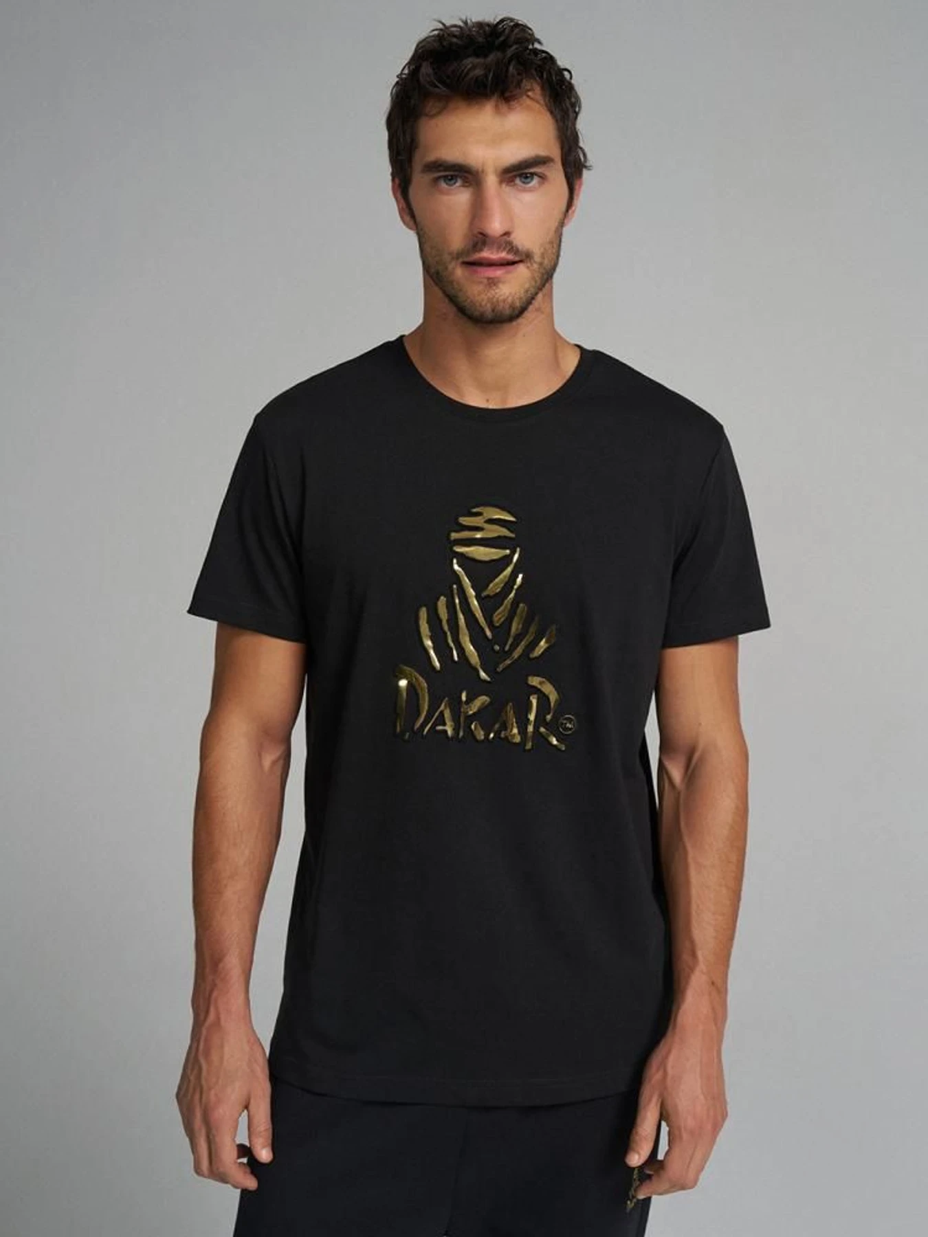 Футболки и поло DIVERSE Dkr Vip Embo 246 модель 10045704 Футболки и поло DIVERSE Dkr Vip Embo 246 модель 10045704 Фото