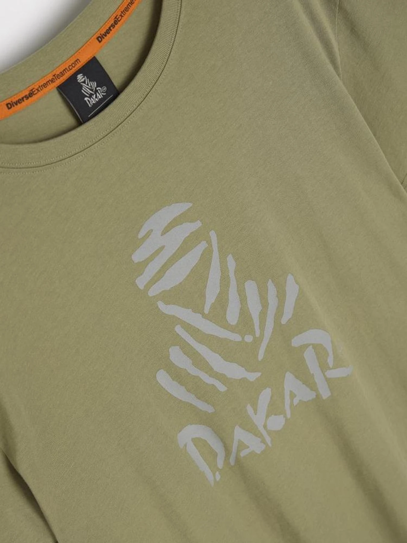 Футболки и поло DIVERSE Dkr Des Logo модель 10045689 Футболки и поло DIVERSE Dkr Des Logo модель 10045689 Фото