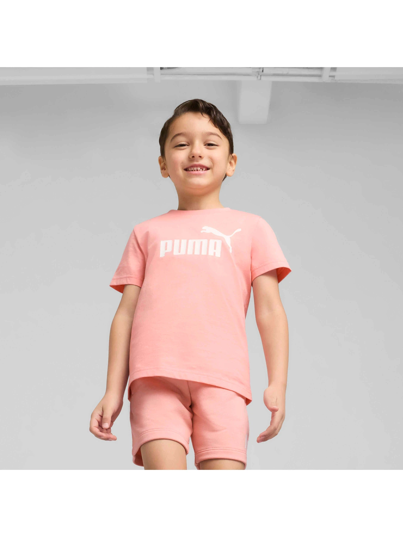 Футболки и поло PUMA Ess No. 1 Logo Tee модель 684930 Фото