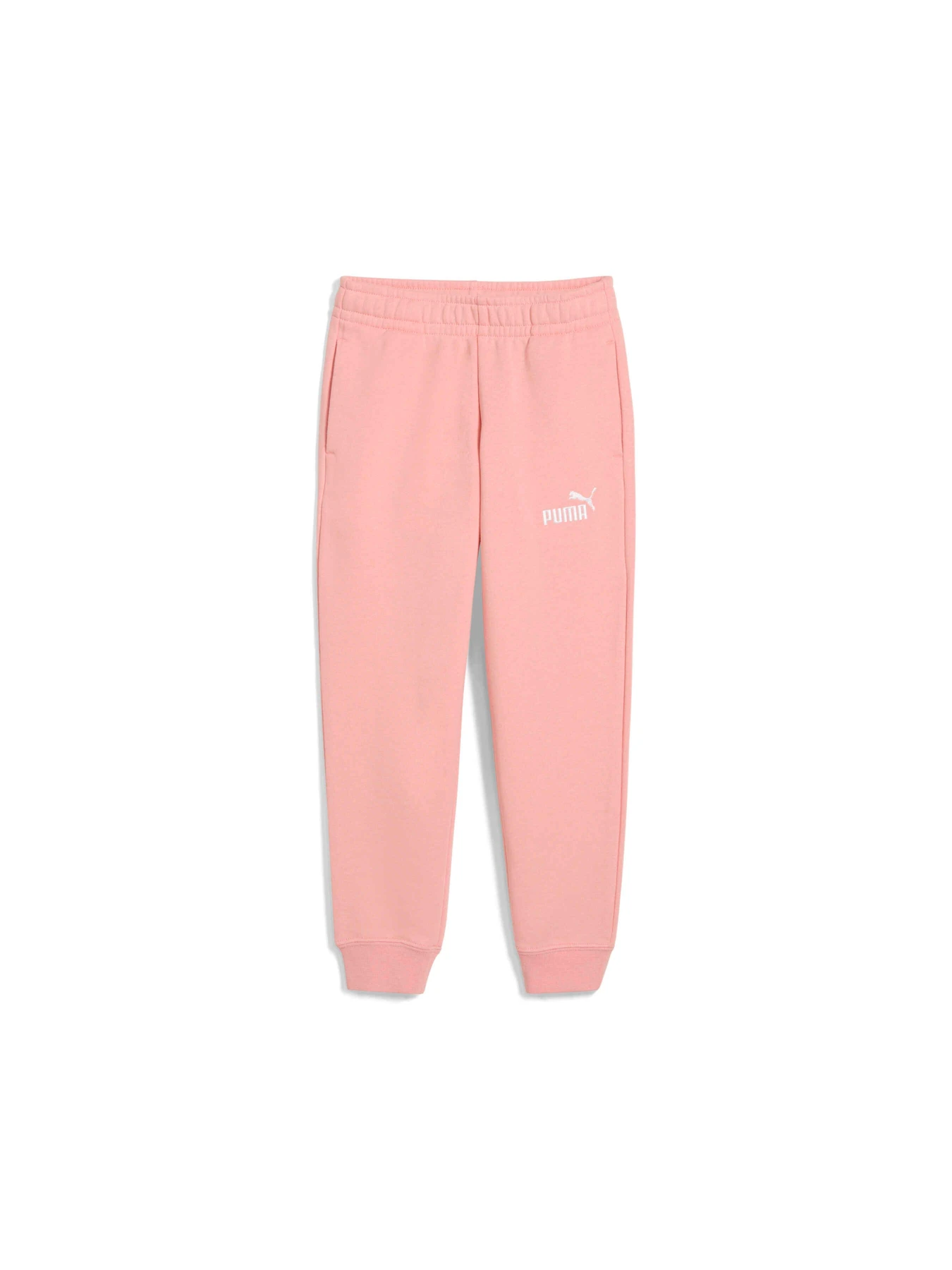 Брюки PUMA Ess No. 1 Logo Sweatpants модель 684934 Фото