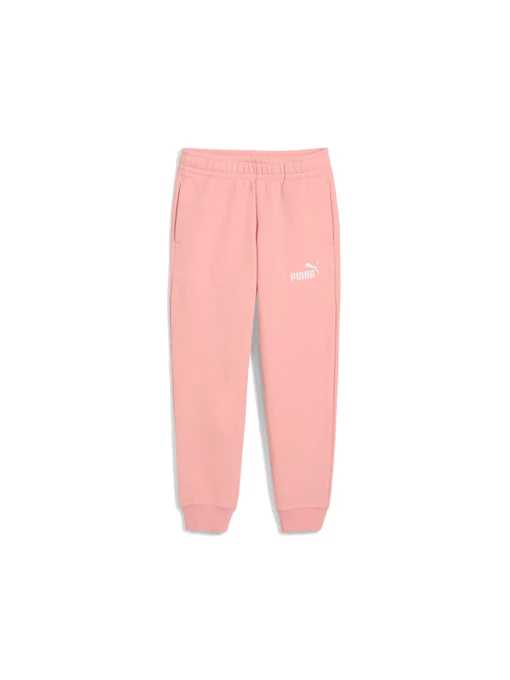 Брюки PUMA Ess No. 1 Logo Sweatpants модель 684934 Фото