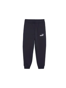 Брюки PUMA Ess No. 1 Logo Sweatpants модель 684934 Фото