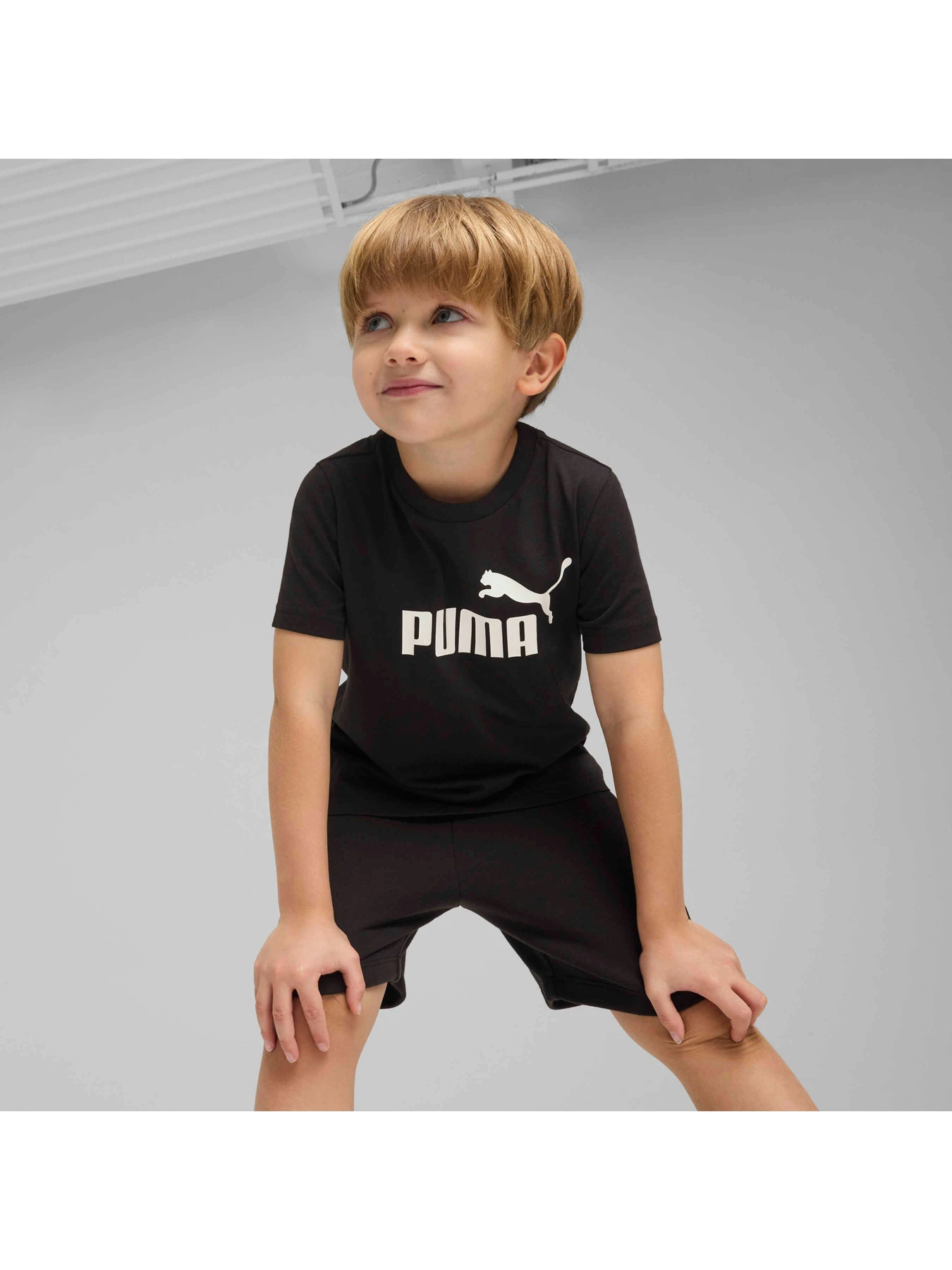 Футболки и поло PUMA Ess No. 1 Logo Tee модель 684930 Фото
