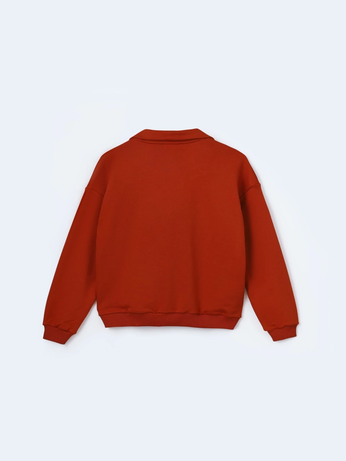 Худи и свитшоты FloveTouch модель halfzip-terracotta Худи и свитшоты FloveTouch модель halfzip-terracotta Фото