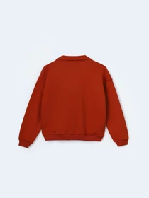 Худи и свитшоты FloveTouch модель halfzip-terracotta Фото