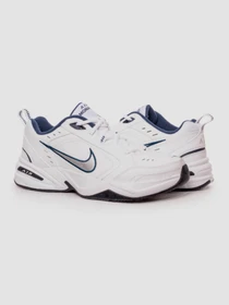 Кросівки NIKE Air модель 415445-102 Фото