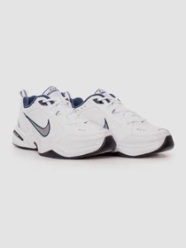 Кросівки NIKE Air модель 415445-102 Фото