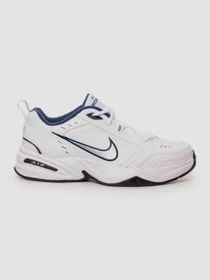 Кроссовки NIKE Air модель 415445-102 Фото