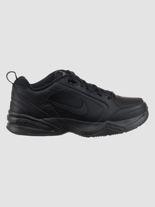 Кросівки NIKE Air модель 415445-001 Фото