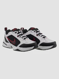 Кроссовки NIKE Air модель 415445-101 Фото