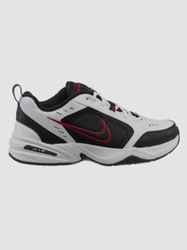 Кроссовки NIKE Air модель 415445-101 Фото