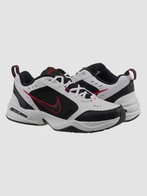 Кроссовки NIKE Air модель 415445-101 Фото