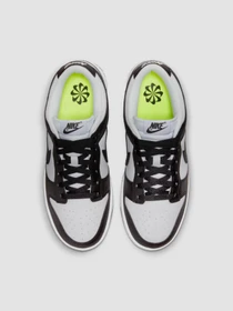 Кроссовки NIKE Dunk модель DD1873-102 Фото