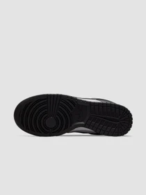 Кроссовки NIKE Dunk модель DD1873-102 Фото