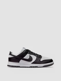 Кроссовки NIKE Dunk модель DD1873-102 Фото