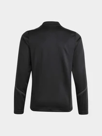 Худи и свитшоты Adidas Tiro модель HS3618 Фото