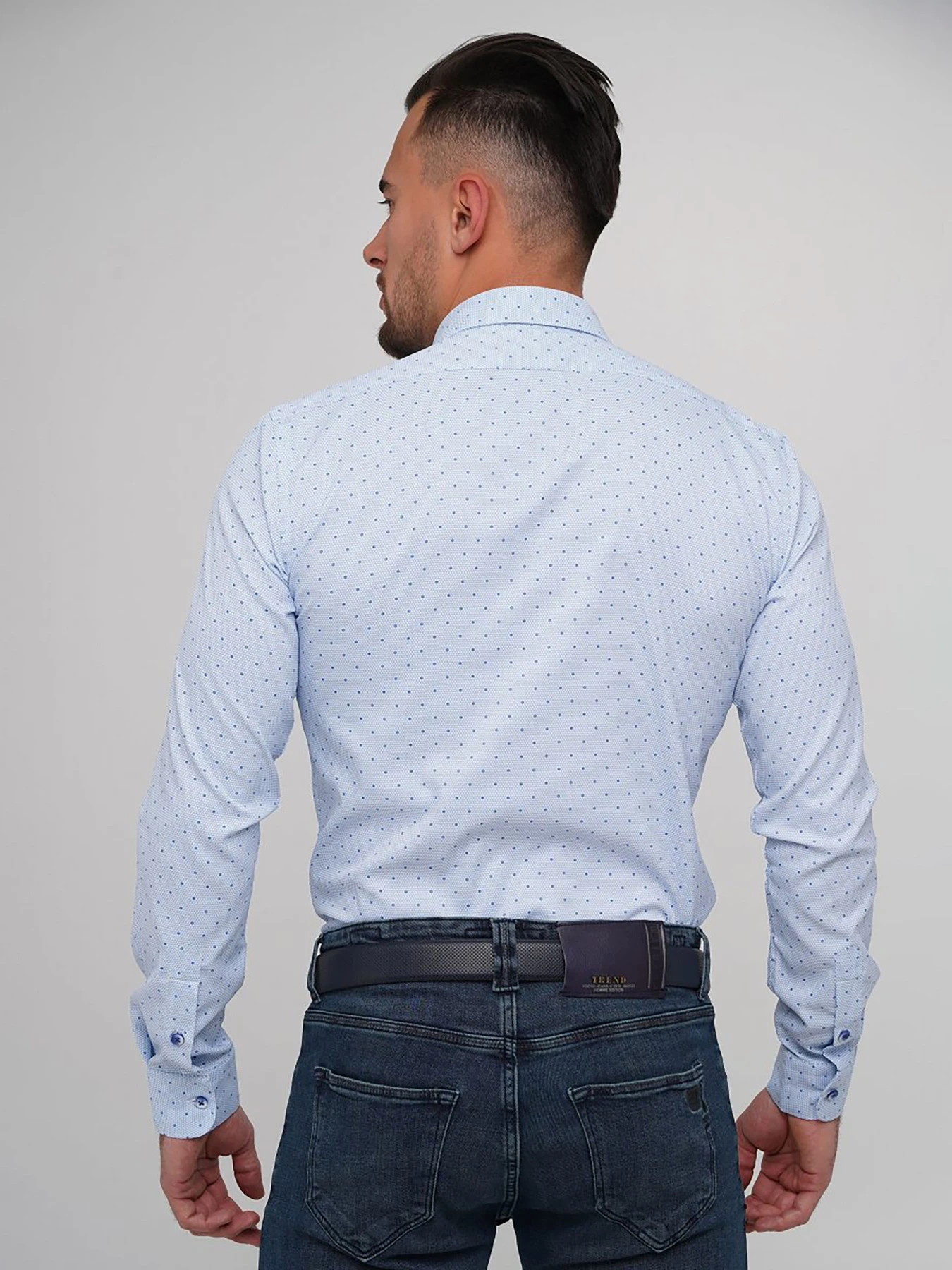 Рубашки Trend Collection модель TC5848LightBlueRBSHKMN Рубашки Trend Collection модель TC5848LightBlueRBSHKMN Фото