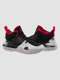 Кросівки Jordan Air Jordan модель DQ8401-061 Фото
