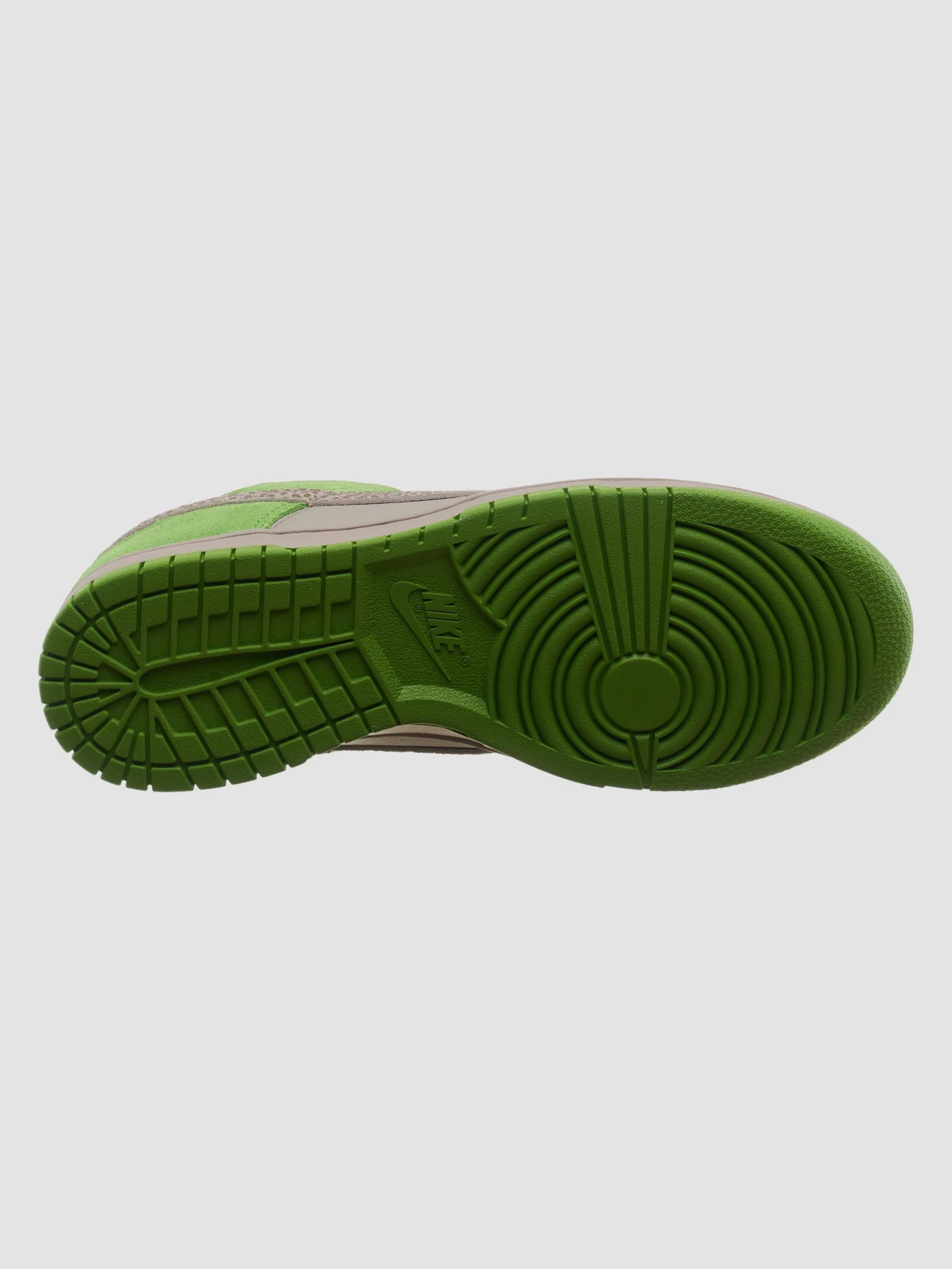 Кросівки NIKE Dunk модель DR0156-300 Фото