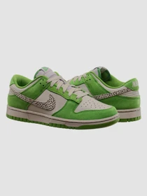 Кросівки NIKE Dunk модель DR0156-300 Фото
