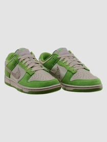 Кросівки NIKE Dunk модель DR0156-300 Фото