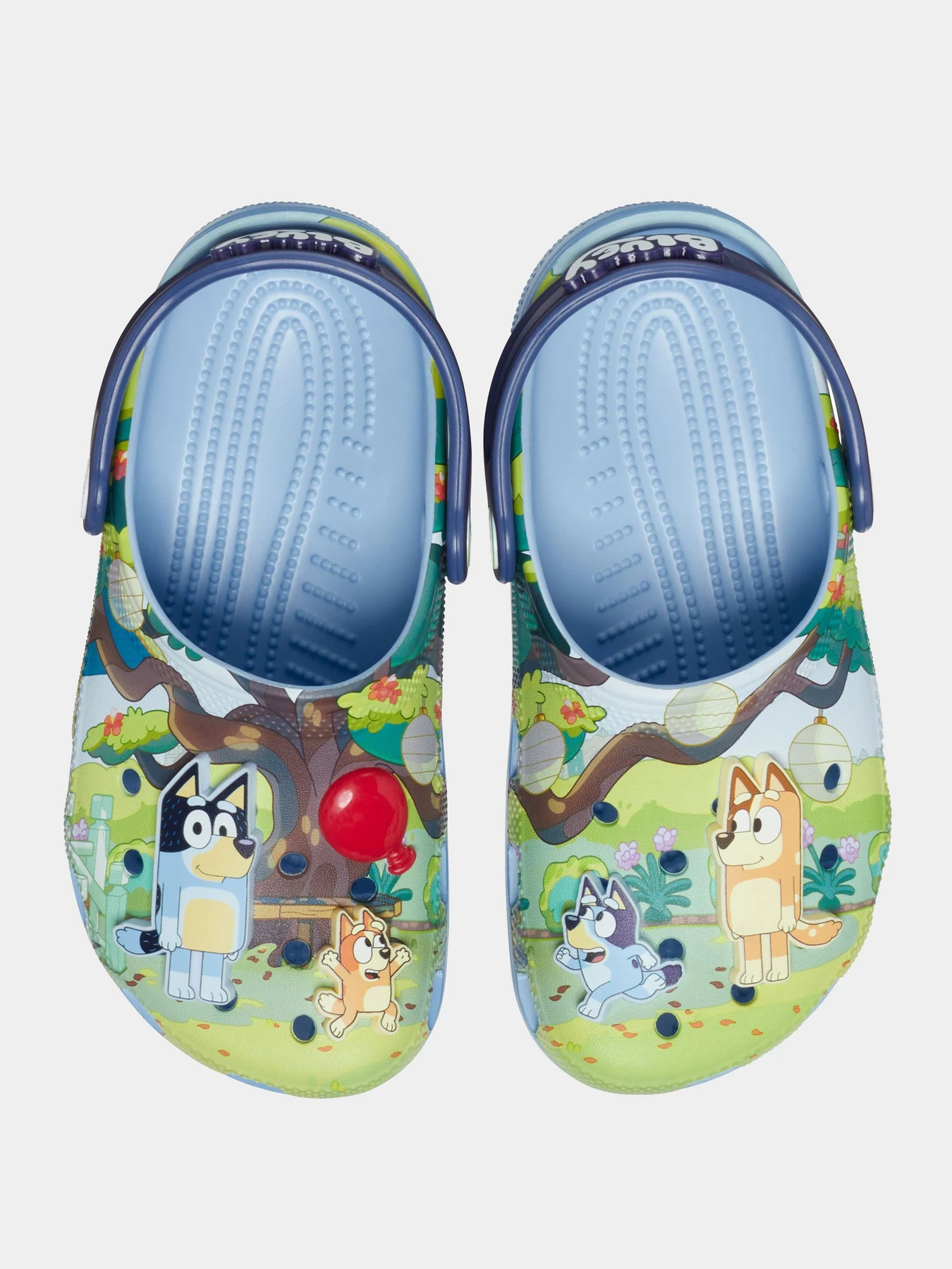Шлёпанцы Crocs модель 210559MLT Фото