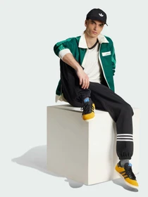 Брюки Adidas Adicolor модель JC9903 Фото