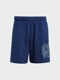 Шорты Adidas Graphics модель JD3336 Фото