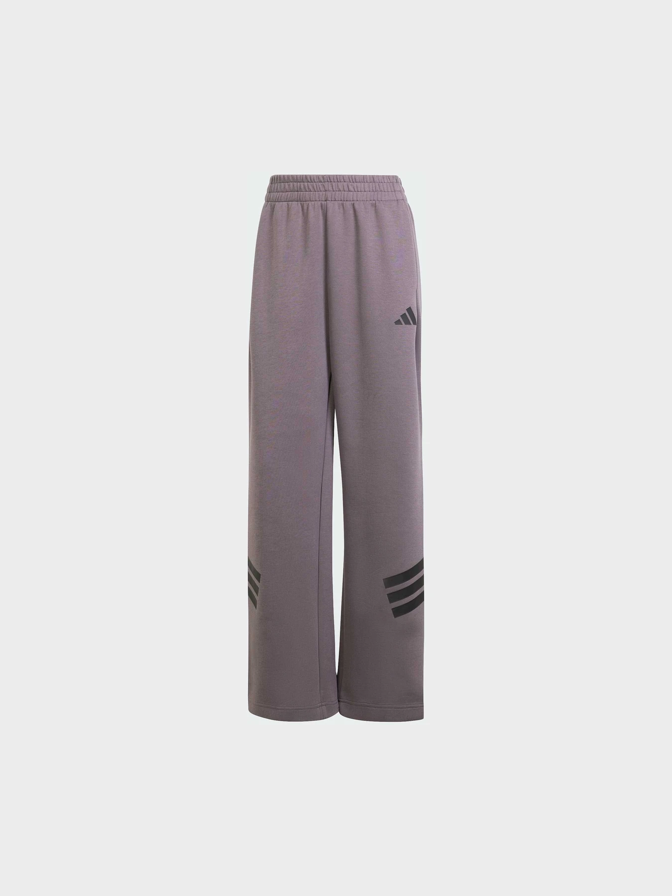 Брюки Adidas 3 Stripes модель JE0154 Фото