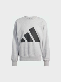 Худи и свитшоты Adidas модель JE8952 Фото