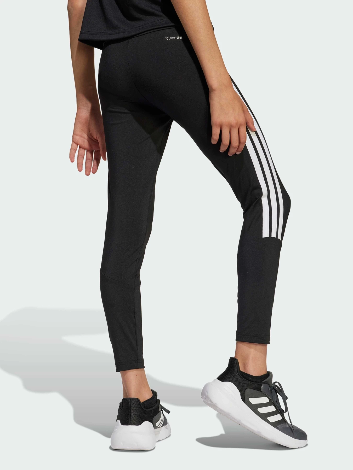 Брюки Adidas модель JJ5036 Фото