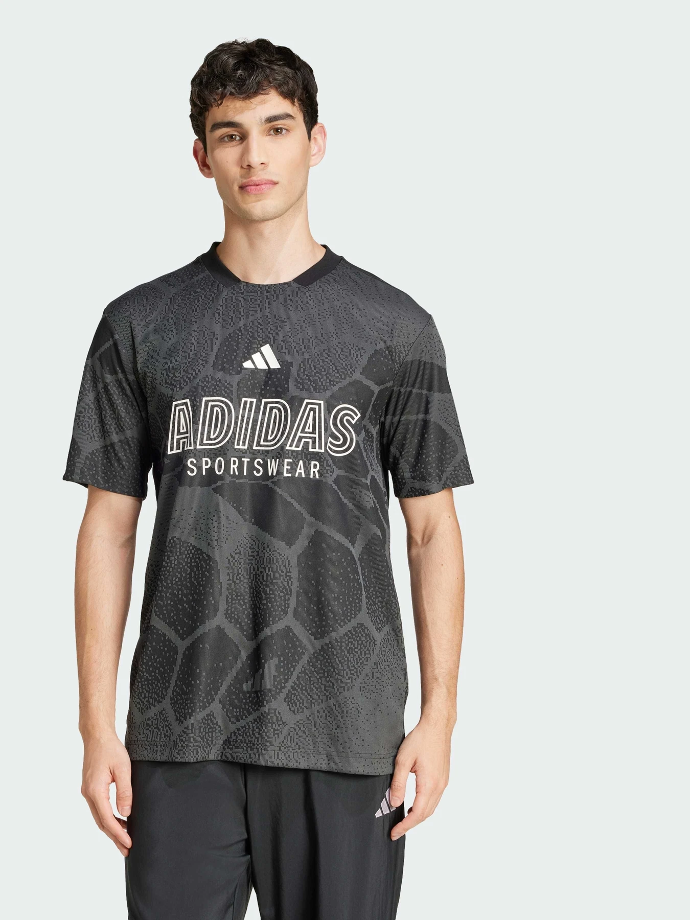 Футболки и поло Adidas Tiro модель JC9455 Фото