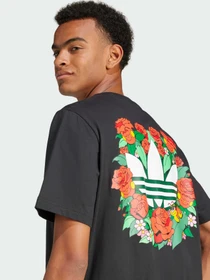 Футболки і поло Adidas Graphics модель JN7032 Фото