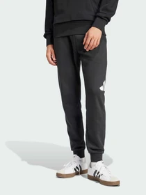 Брюки Adidas модель IN6163 Фото