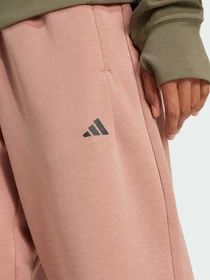 Брюки Adidas Clima модель JN7176 Фото