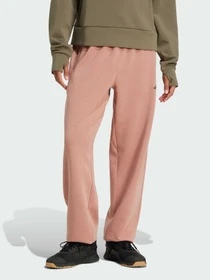 Брюки Adidas Clima модель JN7176 Фото
